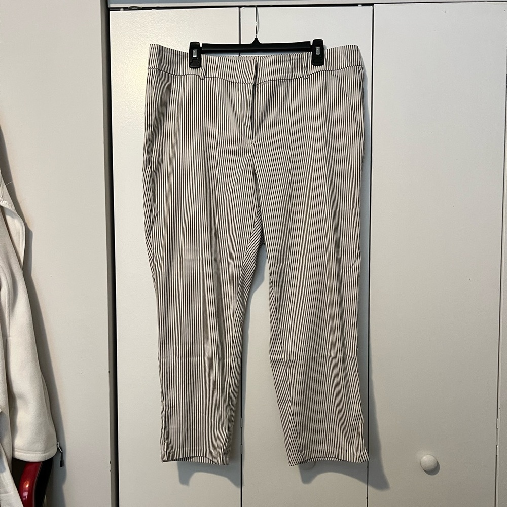 Ann Taylor dress pant